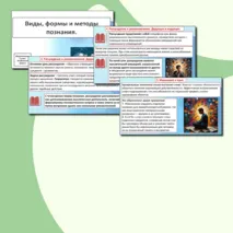 Презентация «Виды, формы и методы познания».