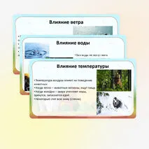 Презентация «Связи в природе: зависимость изменений в живой природе от изменений в неживой природе. Неживая и живая природа. Явления природы» по окружающему миру, 2 класс