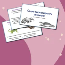Презентация «Общие закономерности эволюции», 11 класс (углубленный уровень)