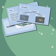 Презентация «Инфузории»