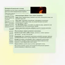 Презентация «Безопасность в природной среде: тактика действий». ОБЗР, 11 класс