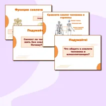 Презентация и раздаточный материал к уроку 