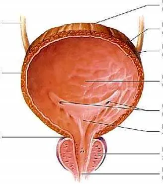 https://present5.com/presentation/-101808206_437873692/image-49.jpg