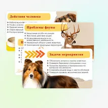 Презентация «День защиты животных. Всемирный день животных».