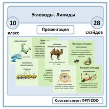 Презентация по биологии 