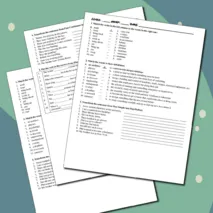 Рабочие листы «Контрольная работа по английскому языку 8 класс, модуль 3, Spotlight»