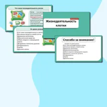 Презентация «Жизнедеятельность клетки». Биология 6 класс