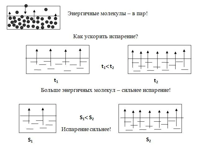 http://conf.cpkro.kirov.ru/image/uhova/uhova3.jpg