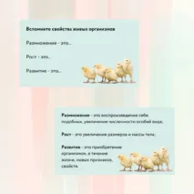 «Размножение и развитие животных», 8 класс