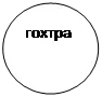 Овал: гохтра