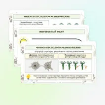 Презентация по биологии «Формы размножения животных»
