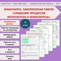 Комплект (рабочий лист + лабораторная работа + тест) Хемосинтез. Лабораторная работа «Сравнение процессов фотосинтеза и хемосинтеза» Биология 10 класс. Углубленный уровень