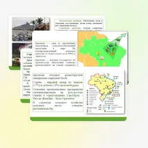 Бразилия: особенности ЭГП, природно-ресурсного капитала, населения и хозяйства, современные проблемы.