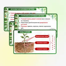 Презентация 
