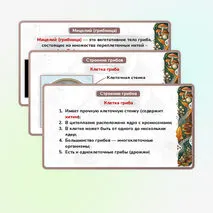 Презентация 