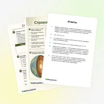 Рабочий лист «Строение Земли»