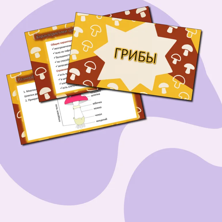 Презентация «Царство Грибы»