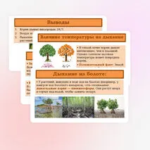 Презентация «Дыхание корня» 6 класс
