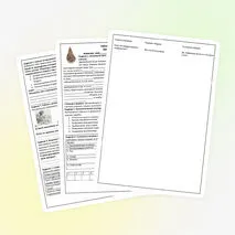 Обобщающий рабочий лист по теме 