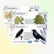 Интеллектуальная игра «Знаю, умею, действую». Орлята России