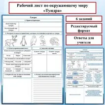 Рабочий лист по окружающему миру на тему: «Тундра». Природные зоны России.