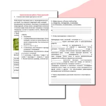 Самостоятельная работа 