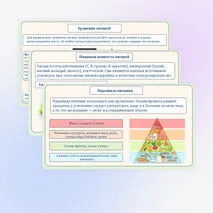 Основы рационального питания. Пищевая ценность овощей. Технологии обработки овощей