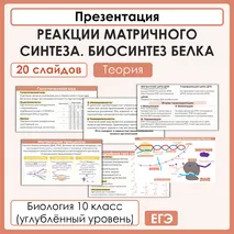 Презентация «Реакции матричного синтеза. Биосинтез белка»