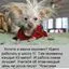 Автор материала