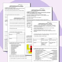 Проверочная работа по сказке А. С. Пушкина 