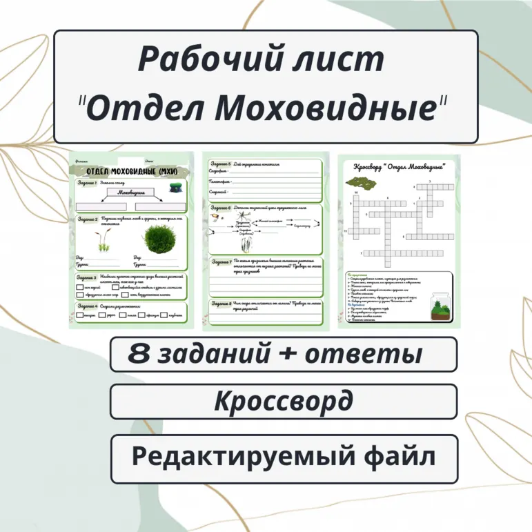 Рабочий лист «Отдел Моховидные (Мхи)» + кроссворд