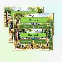 Викторина «Кабан» Е.И. Чарушин
