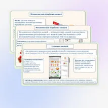 Основы рационального питания. Пищевая ценность овощей. Технологии обработки овощей