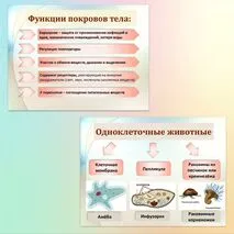 Комплект к уроку биологии 