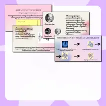 Презентация 