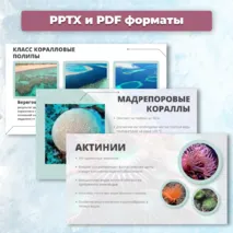 Презентация «Многообразие кишечнополостных» к учебнику по биологии для 7 класса- Пасечник В.В., Суматохин С.В. и др.