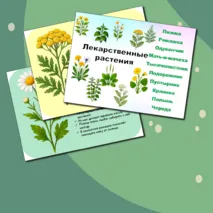 Презентация «Лекарственные растения»