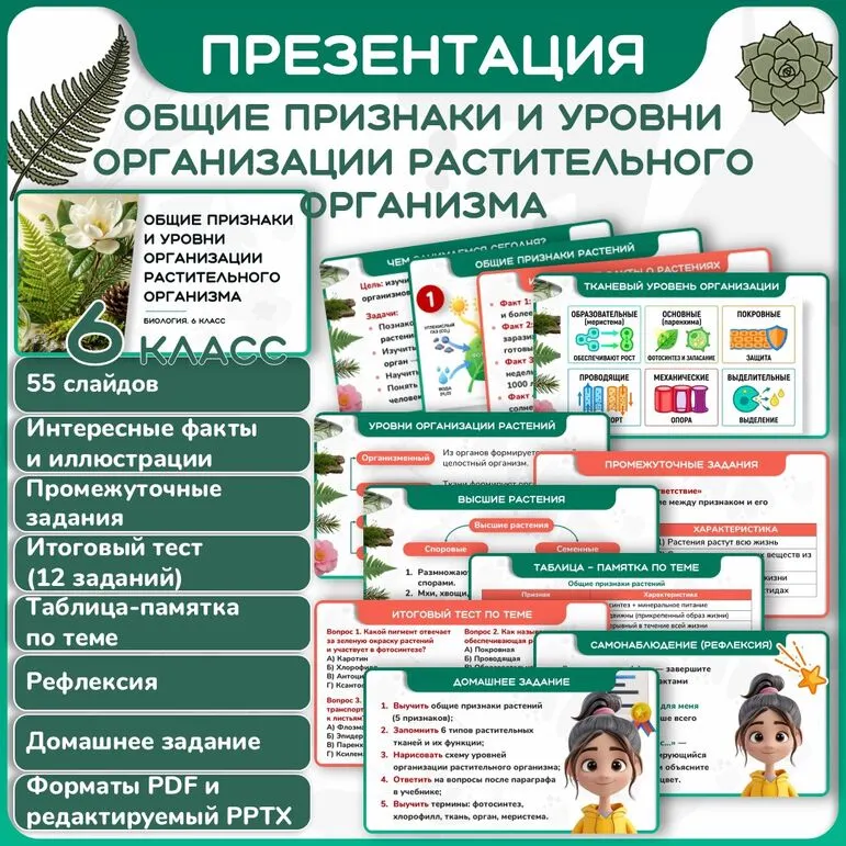 Презентация 
