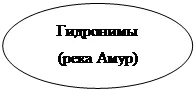 Овал: Гидронимы
(река Амур)