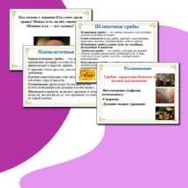 Презентация на тему 