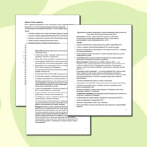 Практическая работа по предмету «Труд (технология)» для 9 класса на тему «Визуальное ручное управление БЛА»