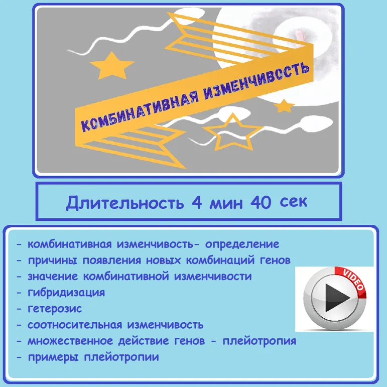 Видеоурок «Комбинативная изменчивость» Биология 10 кл (углубленный уровень)