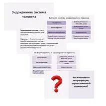 Комплект по биологии 