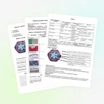 Лабораторная работа «Изучение строения растительных тканей»
