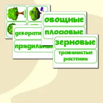 Дидактическая игра 