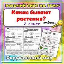 Рабочий лист «Какие бывают растения». Окружающий мир, 2 класс