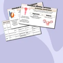 Презентация к уроку по биологии в 9 классе на тему «Эндокринная система человека. Железы внутренней секреции»