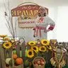 Савельева Ольга Анатольевна