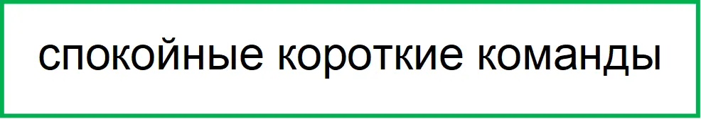 спокойные короткие команды