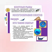 Презентация «Хрящевые и костные рыбы». Биология 8 класс.